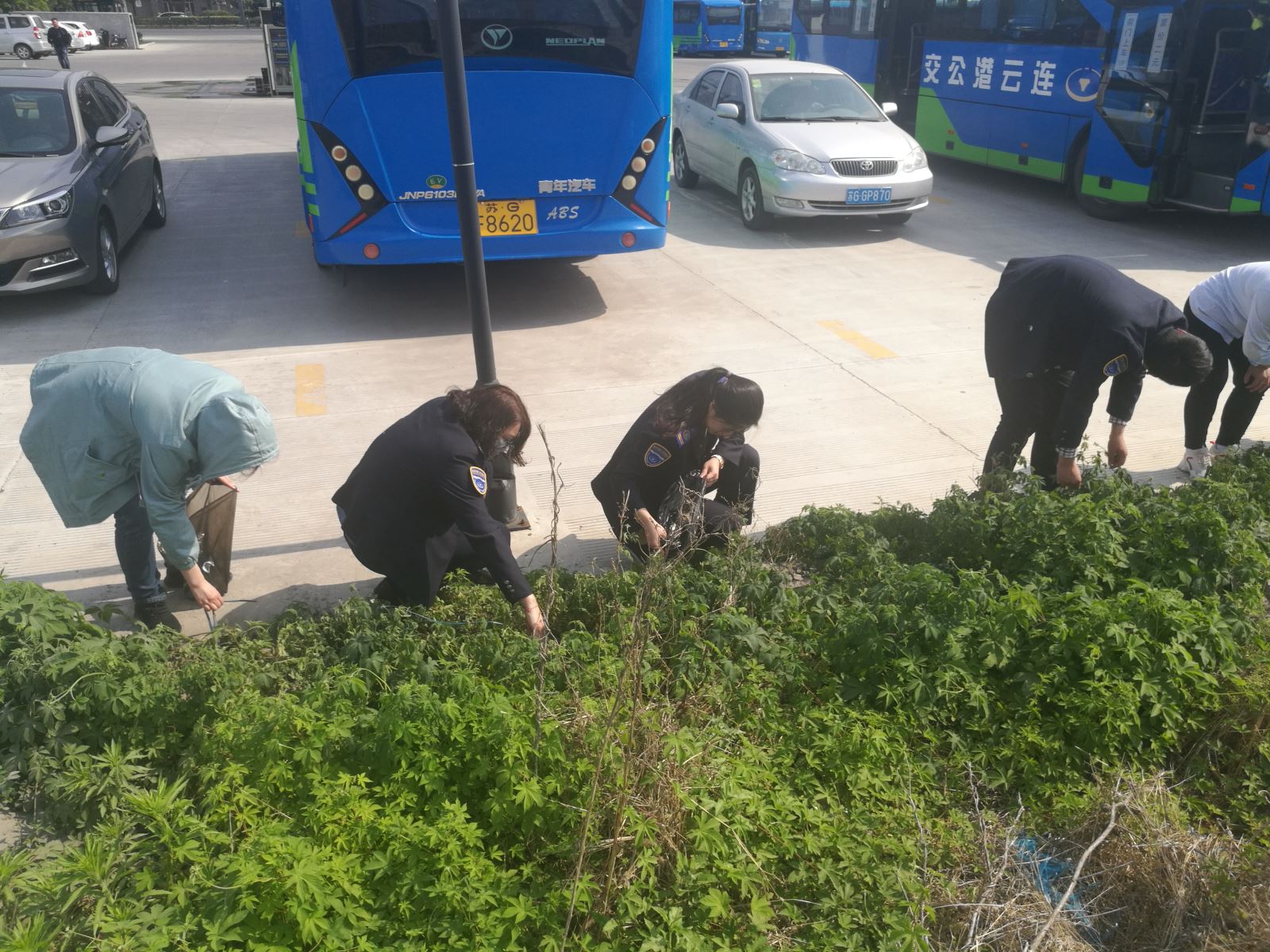 公交集團經營發(fā)展事業(yè)部開展清理垃圾志愿活動