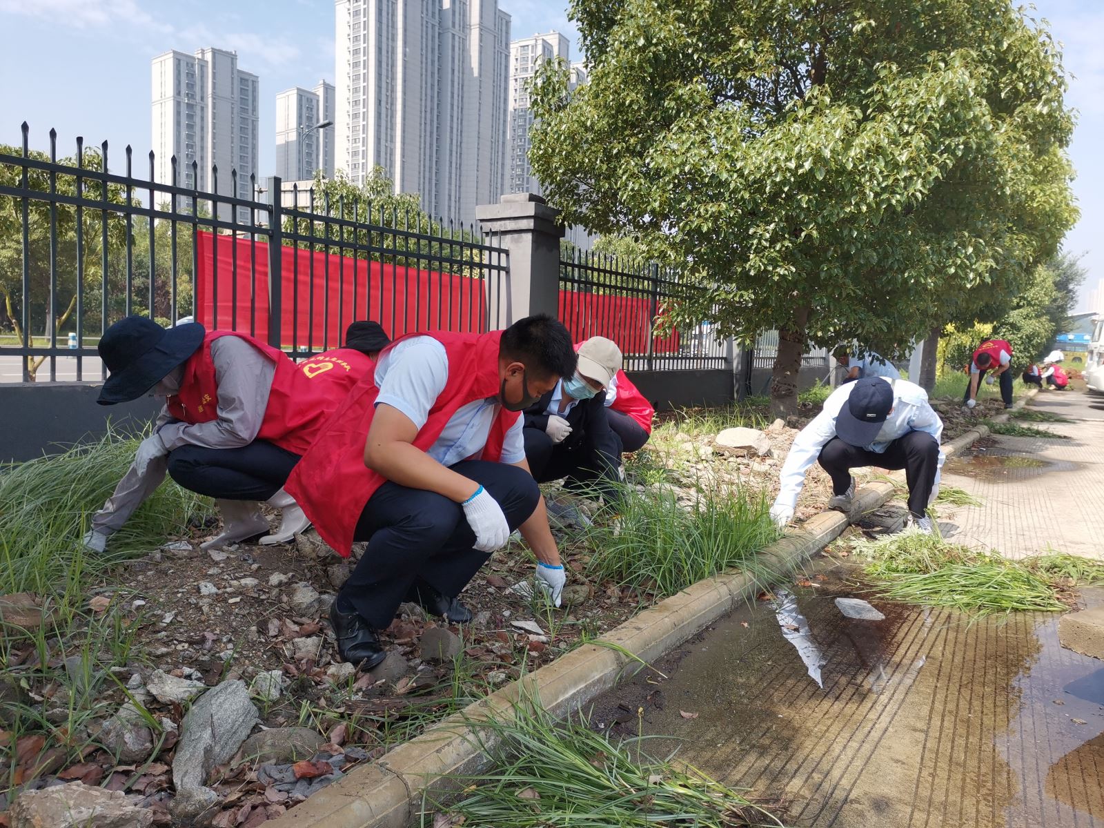 公交集團(tuán)公交事業(yè)二部組織開展拔草義務(wù)勞動 助力創(chuàng)文